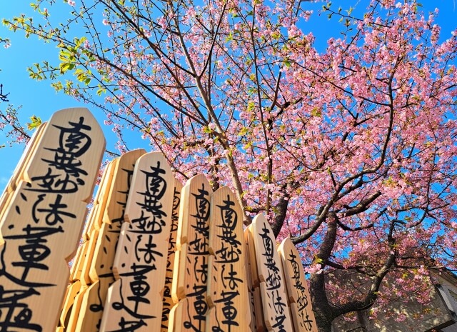 春のお彼岸について